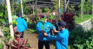 WhatsApp Image 2025-02-11 at 10.32.53