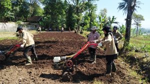 WhatsApp Image 2025-02-11 at 10.33.05