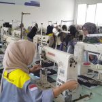 WhatsApp Image 2025-11-16 at 15.48.19